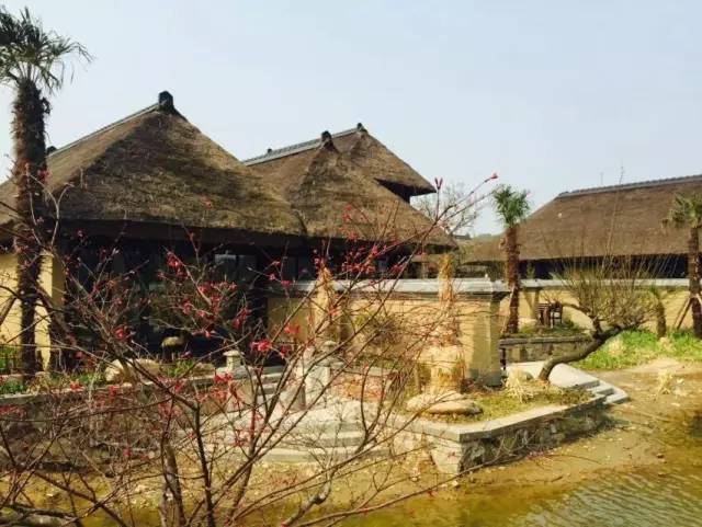 97国际-至尊品牌,源于诺言